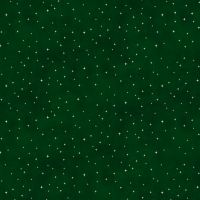 ttHOLIDAY-CD5000 HOLLY